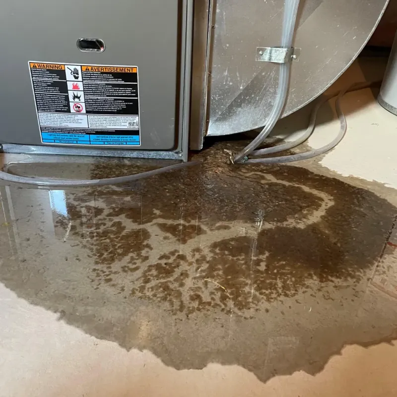 Appliance Leak Cleanup in Candler-McAfee, GA